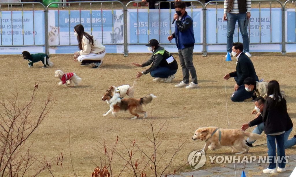 대전에도 반려동물 장묘시설…조례안 시의회 상임위 통과