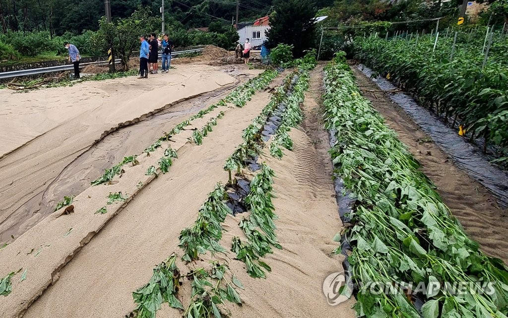 집중호우에 농지 3만1천여㏊ 피해…가축 69만마리 폐사