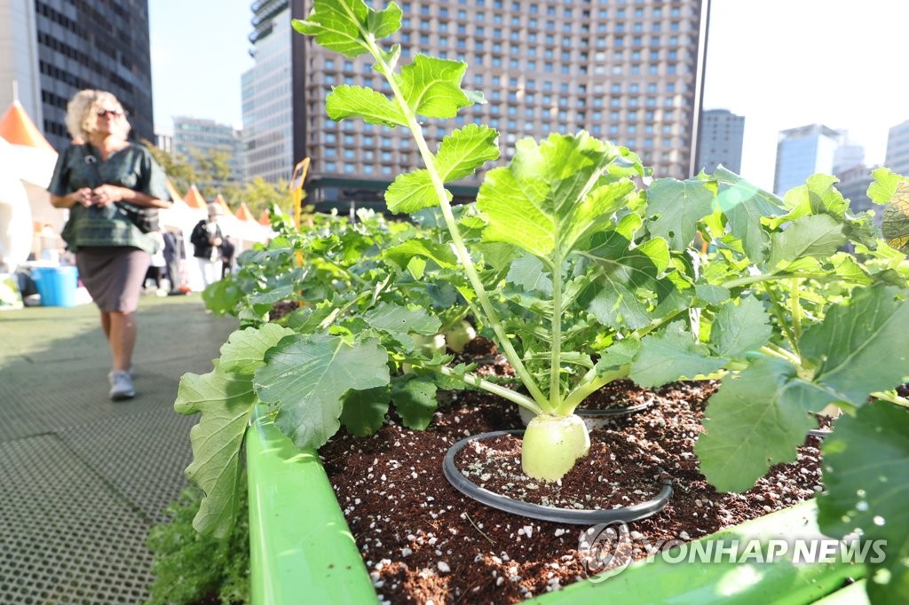 2027년까지 도시농업인 300만명·공동체 1천곳으로 늘린다