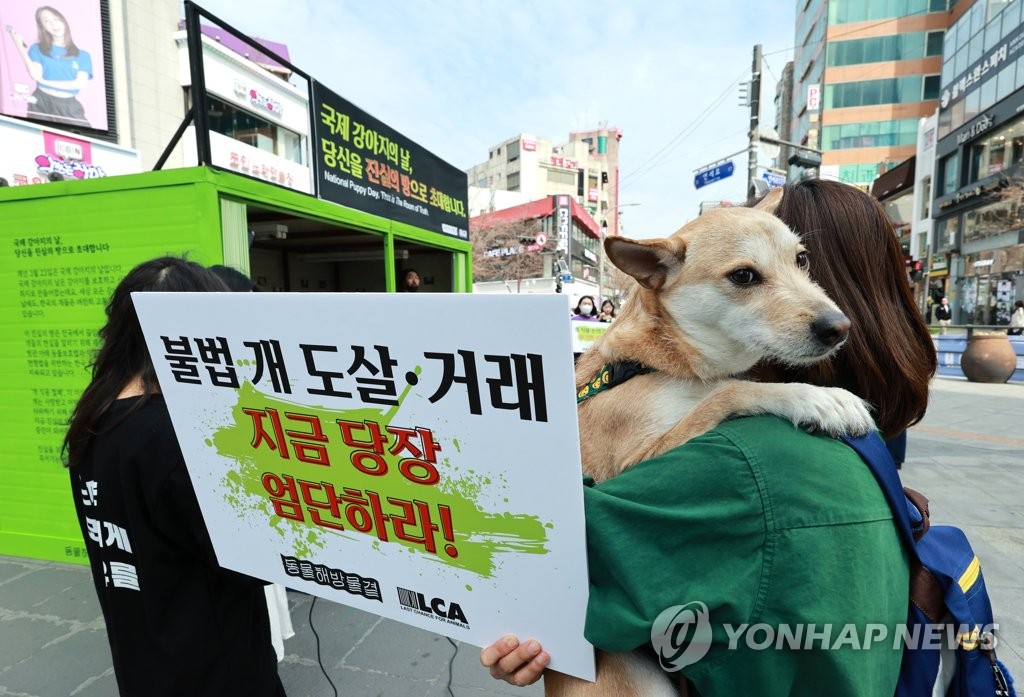 서울 한복판서 '개고기 시식'까지…커지는 개 식용 논란