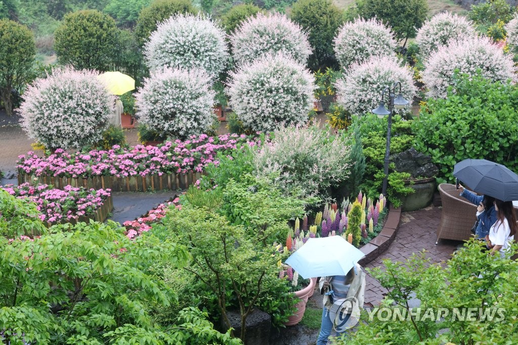 대구·경북 흐리다 낮부터 5∼20㎜ 소나기…낮기온 26∼32도