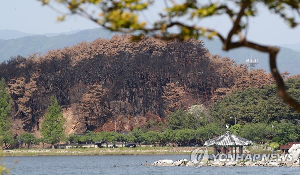 강릉산불 100일…한전 '업무상 실화' 여부 수사 장기화 조짐