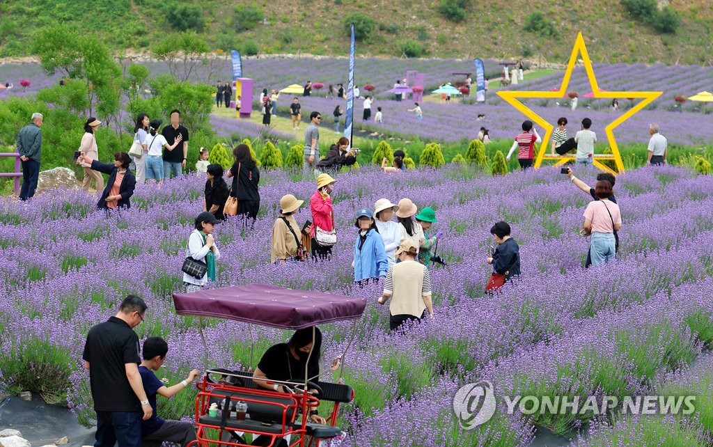 동해 무릉별유천지 관광자원사업 추진 '탄력'…국비 확보 청신호