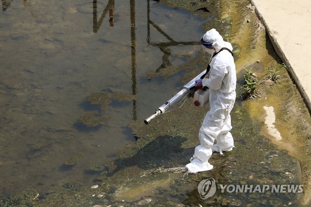 짧은 생애 '러브버그' 올해는 안녕…빈자리는 모기에게