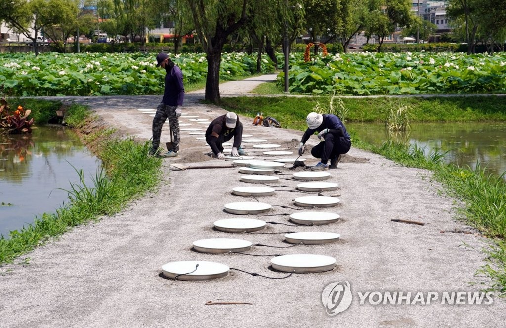 쿨링존·셔틀버스…부여서동연꽃축제 관람객 편의시설 확충