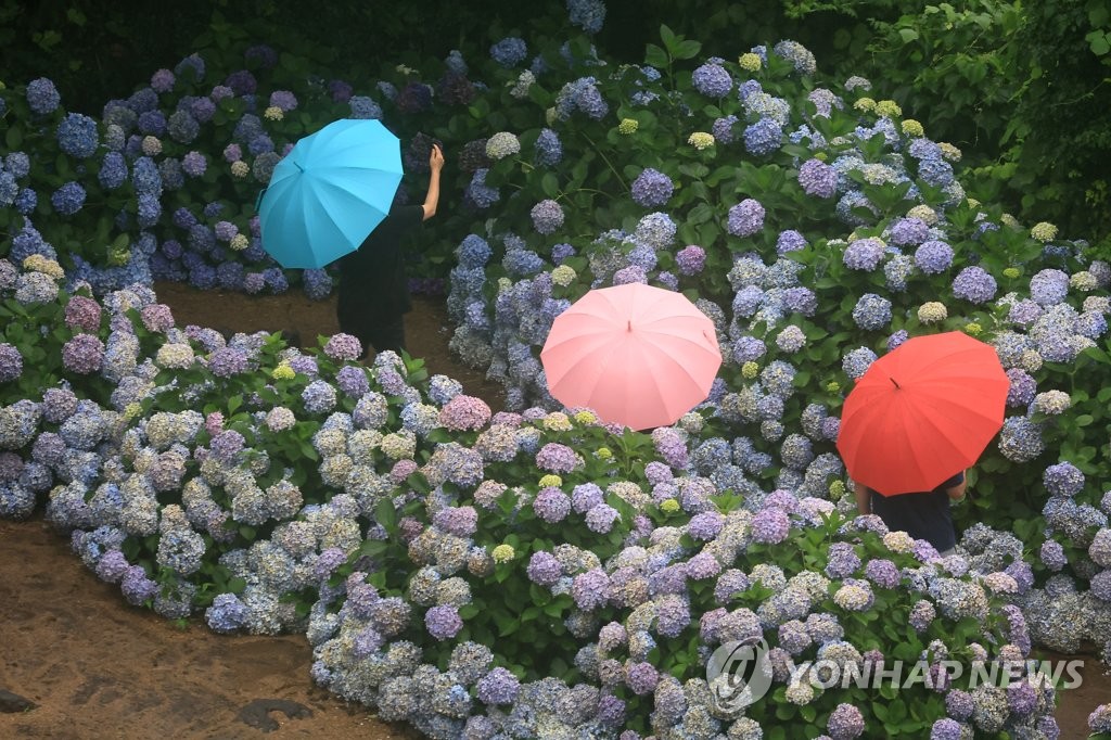 제주 흐리고 남부·산지 가끔 비…낮 최고 27∼33도