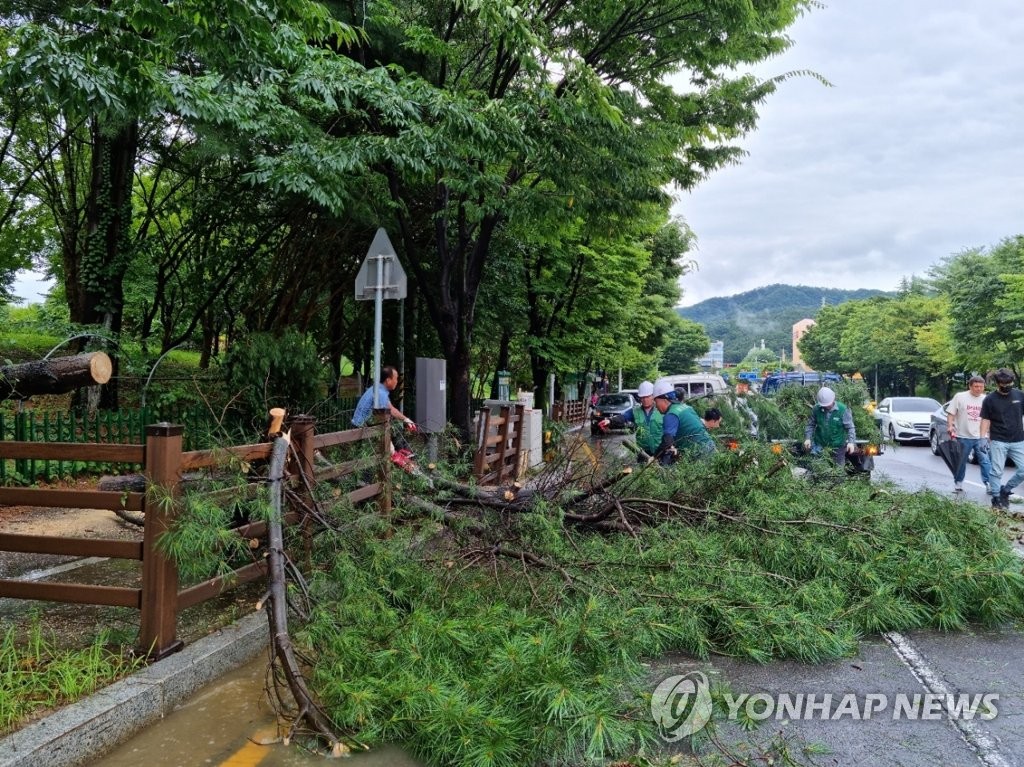 광주·전남 이틀간 최고 192㎜…정전·열차 지연 불편(종합)