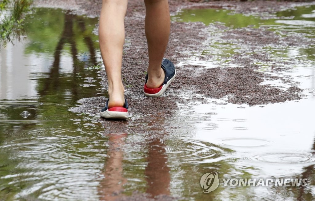 다시 장마 시작…중부지방 시간당 최대 80㎜ 비도