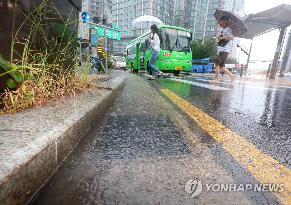 나무 쓰러지고 주택 잠기고…대전·충남 밤새 비 피해 20건