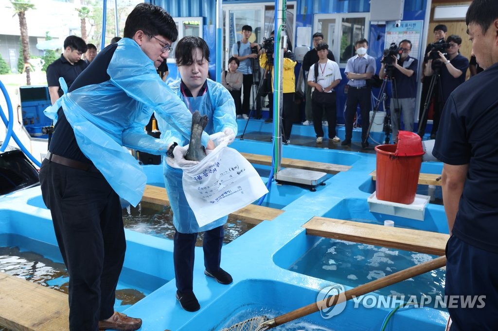 정부 "부산시 수산물 방사능 검사 표본 적다? 타당치 않은 지적"