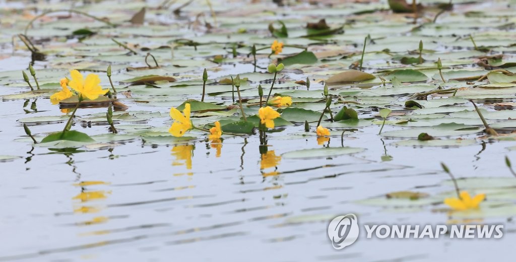 제주 가끔 비…낮 최고 33도