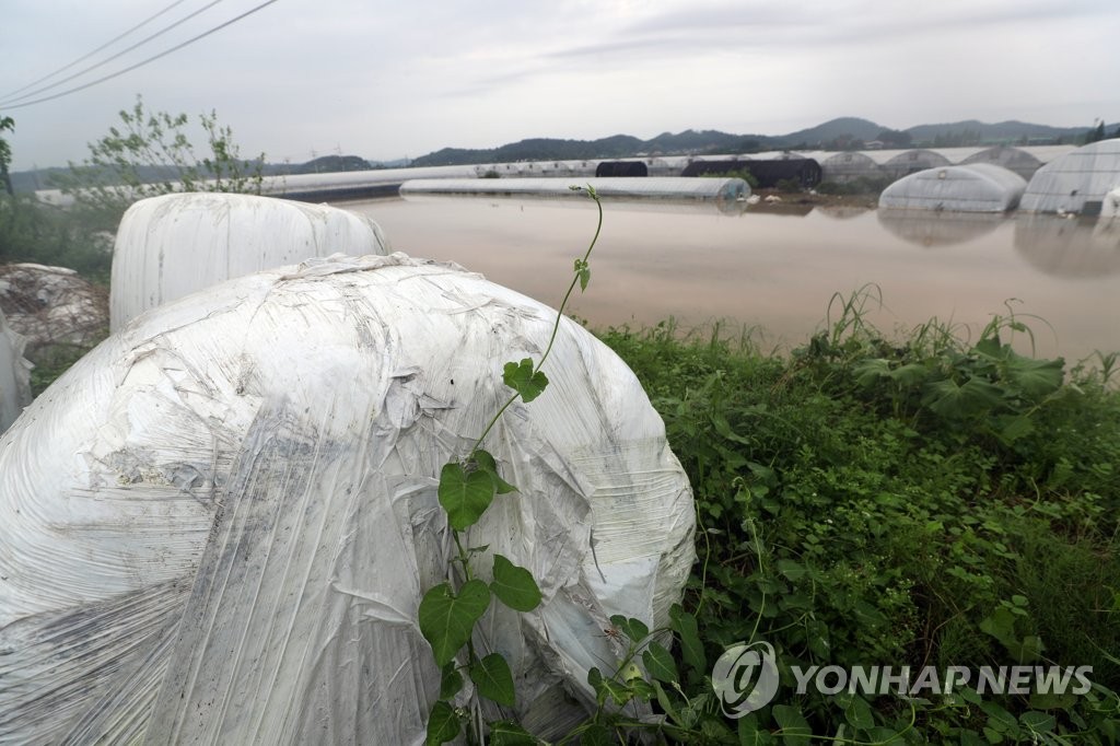 전북 농작물 침수 피해 1만5천㏊ 육박…산사태도 14건 발생