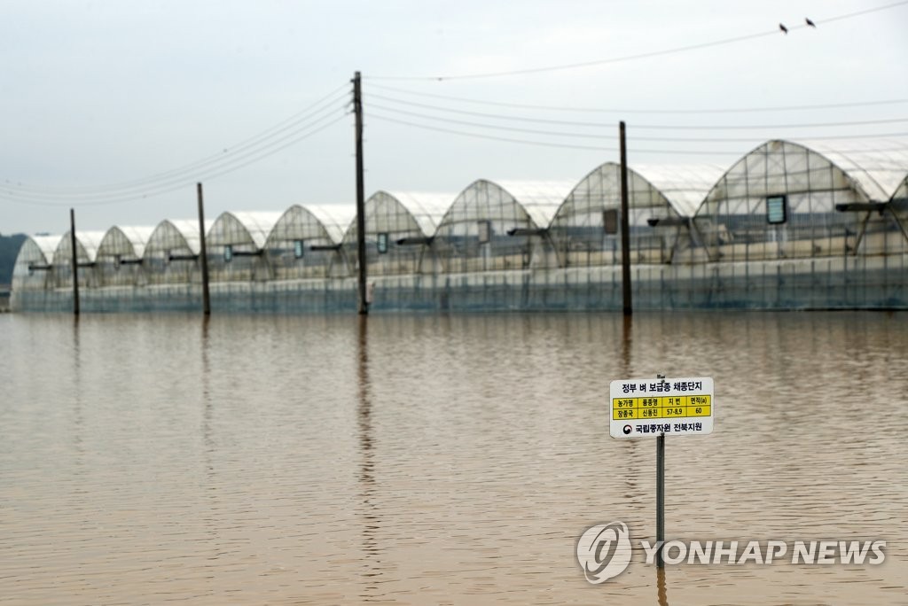 [르포] '이미 다 잠겼는데'…물바다 된 익산 용안·망성면 일대