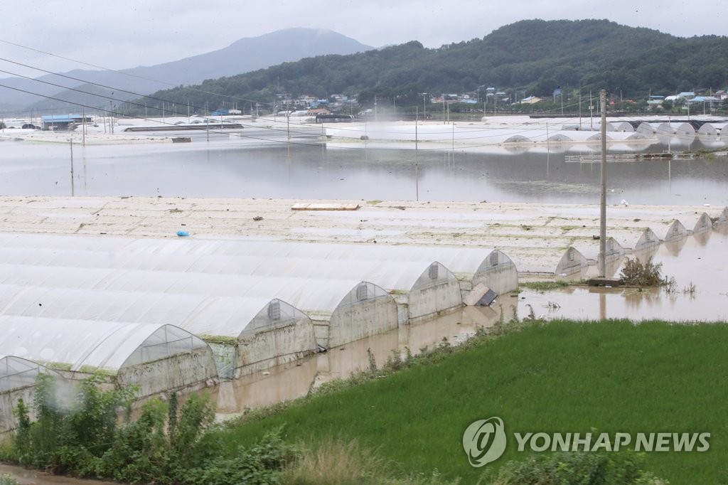 580㎜ 폭우에 충남서 축구장 1만4천개 넘는 농경지 피해(종합)