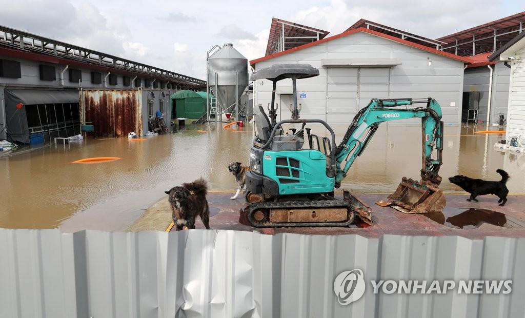 대전세종충남 폭우에 5명 사망…농경지 3천200㏊ 침수(종합)