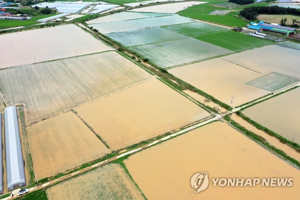 집중호우에 농지 약 3만5천㏊ 피해…농식품장관, 배추수급 점검