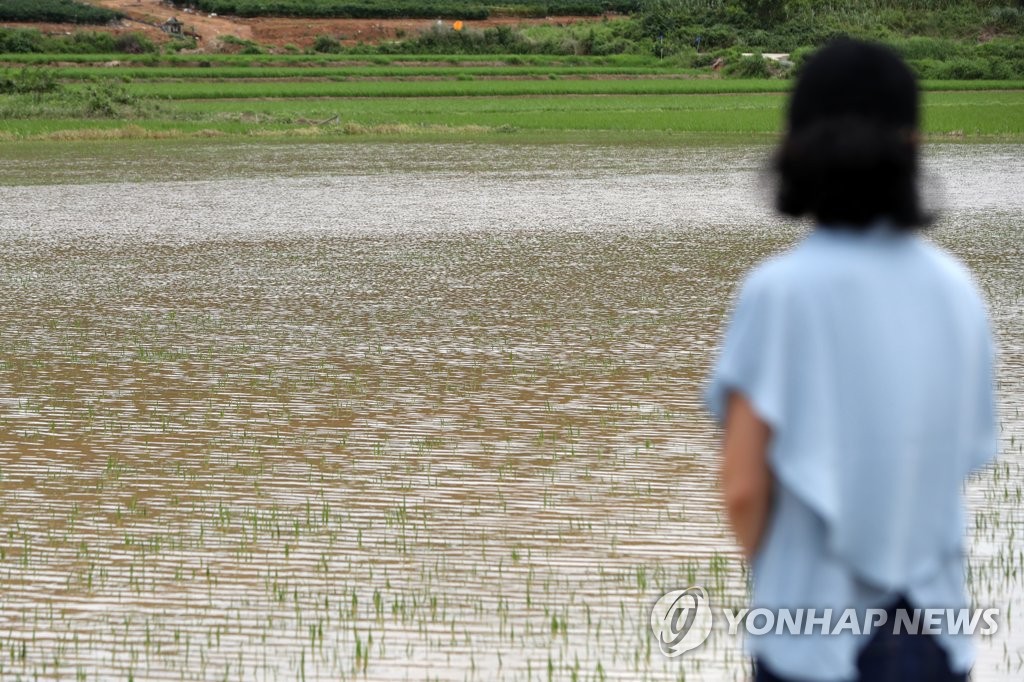 호우로 서울 절반 넓이 농경지 침수…가축 69만마리 폐사