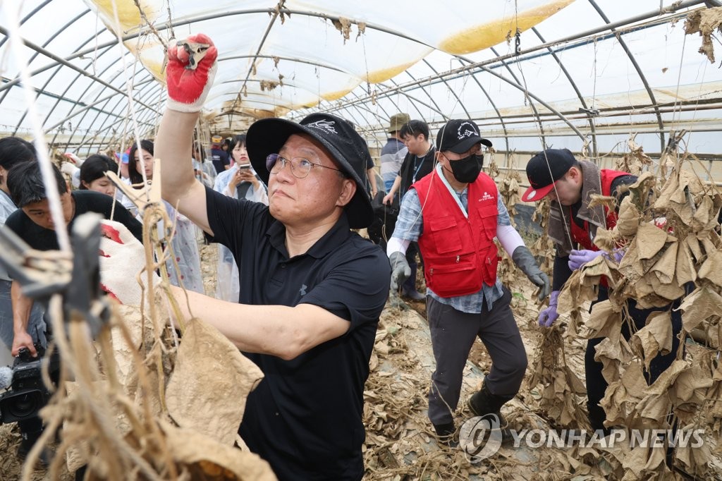 비닐하우스 수해복구 나선 與 "피해 심각…예산지원 챙기겠다"(종합)