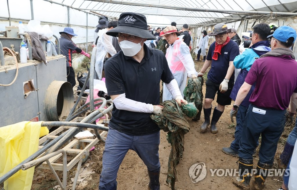 덩굴 치우고 비닐 걷고…與 의원·당원 400여명 수해복구 봉사