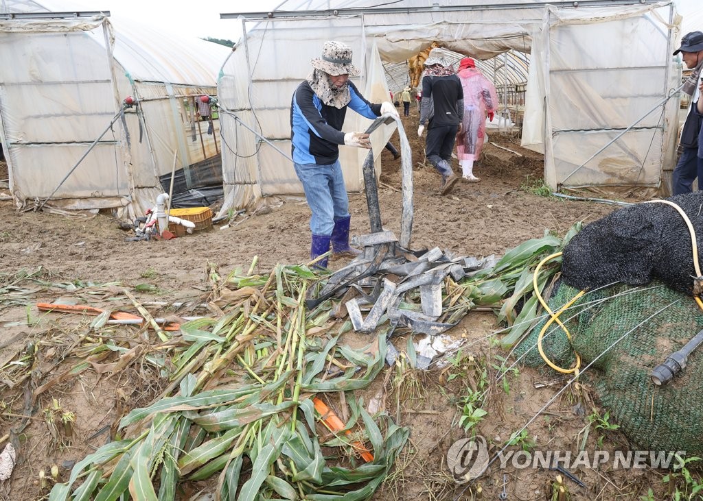 비닐하우스 수해복구 나선 與 "피해 심각…예산지원 챙기겠다"(종합)