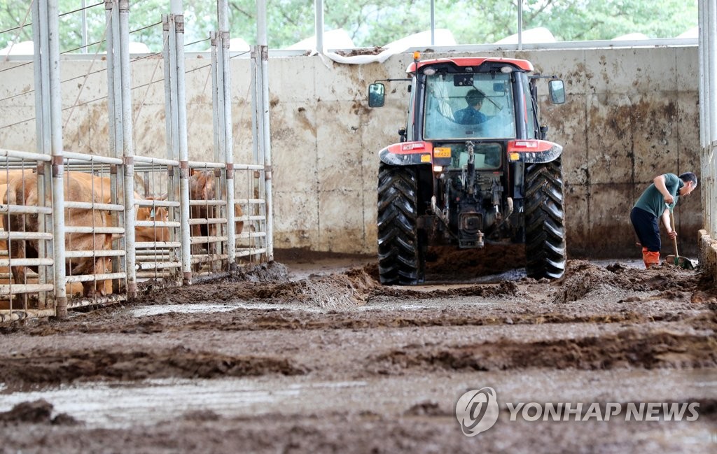 [르포] "허리 세울 짬도 없다" 전남 곳곳 폭염 속 복구 구슬땀