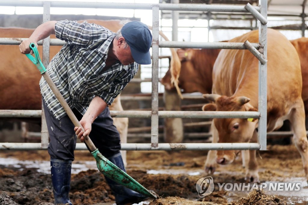 호우 대피자 1천800명 아직 귀가 못 해…시설피해 1만1천여건