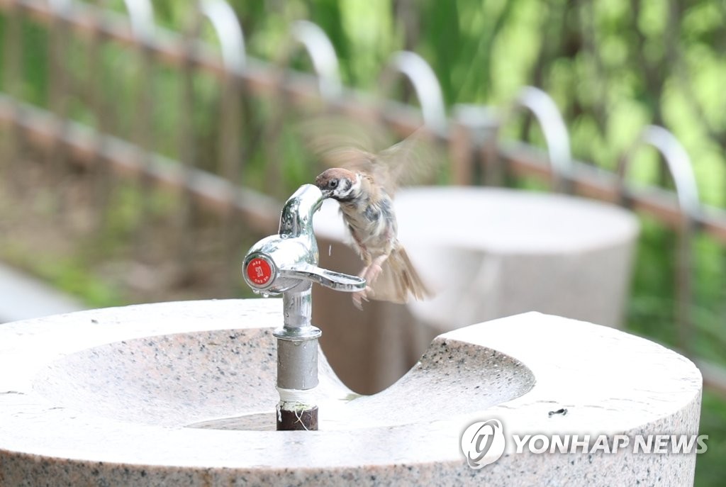 "사우나 같아"…조금 걸었는데 땀 줄줄, 힘든 대프리카 여름나기