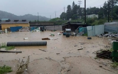 경북소방 "폭우로 12명 사망·실종 10명·부상 2명"