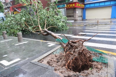 태풍 '독수리' 북상…중국 12년만 폭우 적색경보
