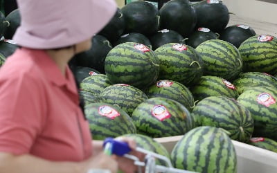 "사먹기 부담되네"…초복 앞두고 2만원 넘어선 과일의 정체