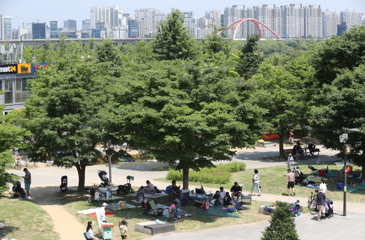  서울 영등포구 여의도 한강시민공원 전경. 사진=뉴스1