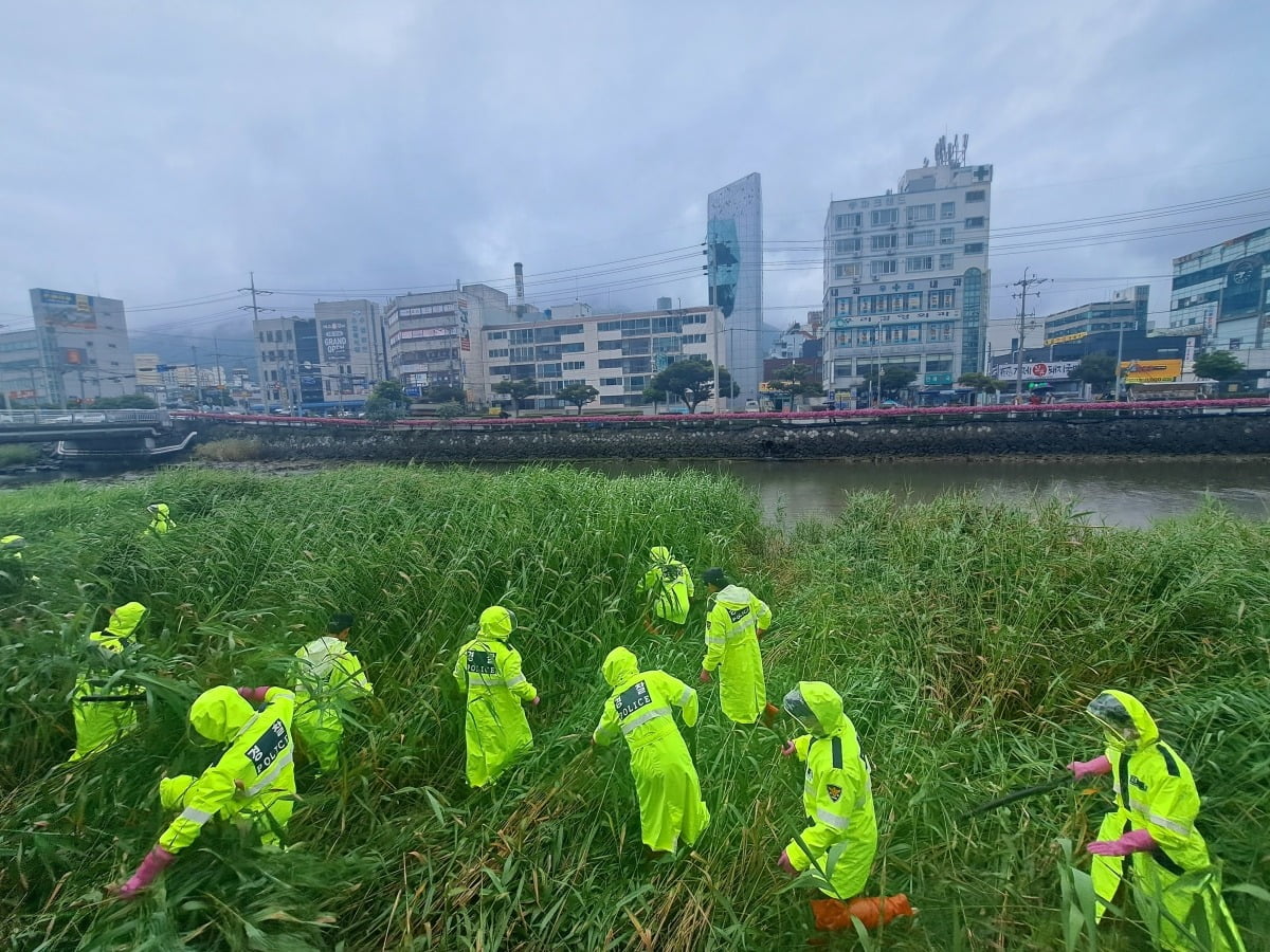 경찰이 지난 4일 경남 거제시 고현천 주변에서 거제 영아 암매장 사건과 관련해 영아 시신을 수색하고 있다. 사진=뉴스1