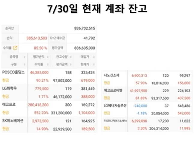 박순혁 전 금양 홍보이사가 공개한 지난 7월30일 기준 주식 잔고. <유튜브 채널 '웅달책방'>