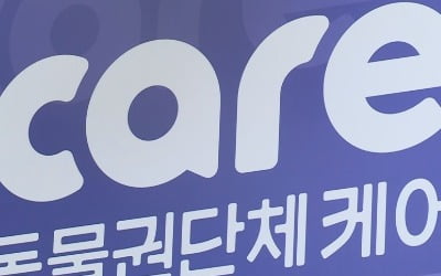 기부금 모집 막힌 동물권 단체 '케어', 서울시 소송에도 패소