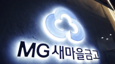 새마을금고 사태 구속 형평성 논란…'꼬리자르기' 우려