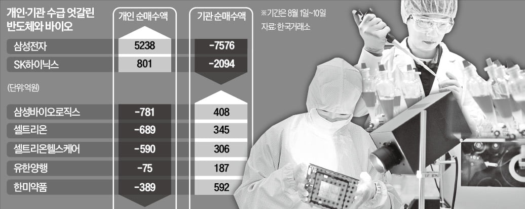 개미는 반도체, 기관은 바이오…하반기 누가 웃을까