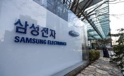 "삼성 부사장이 사장급보다 더 벌었다"…상반기 보수 28억 