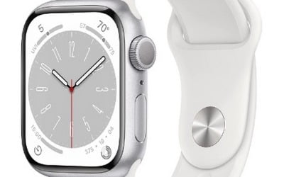 애플워치, 출시 10주년 앞두고 신제품 'X' 개발…더 얇고 선명, 혈압도 측정