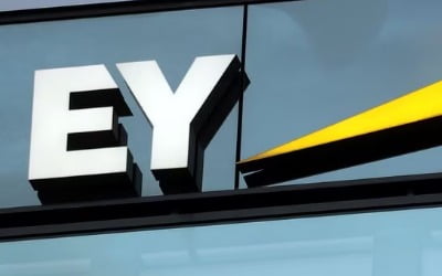 "TPG, EY 지분인수 검토"…글로벌 회계업계 지각변동 일어나나