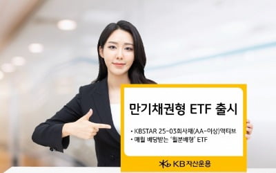 KB자산운용, 만기채권형 ETF 추가 출시