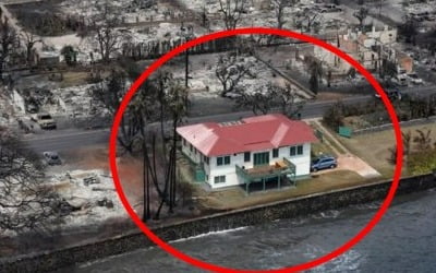 하와이 주택들 불탔는데…홀로 멀쩡한 '빨간 지붕 집'의 비밀