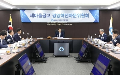"시작부터 혁신 동력 상실"…'편법 연임' 이사로 채워진 새마을금고 혁신위