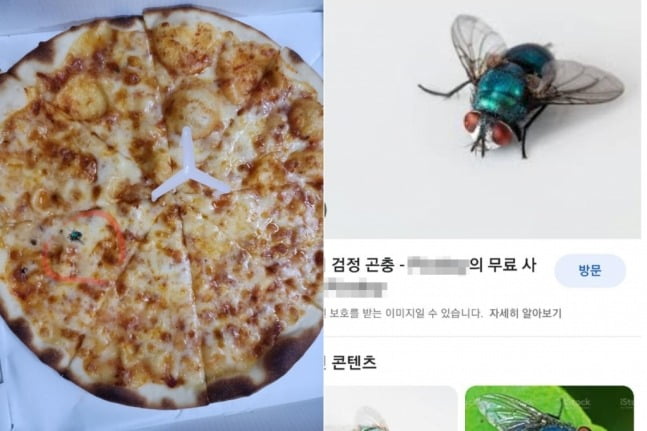 벌레가 나와 결제 취소를 요구하며 보내온 카지노 양상수사진(왼쪽)과 검색 사이트에서 찾은 원본 추정 사진. / 사진=온라인 커뮤니티