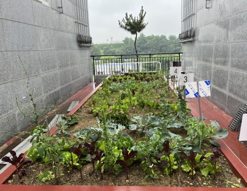 인천도시공사의 임대주택 유휴공간을 개선해 텃밭과 화단을 조성하는 iHappy Farm 서비스.인천도시공사