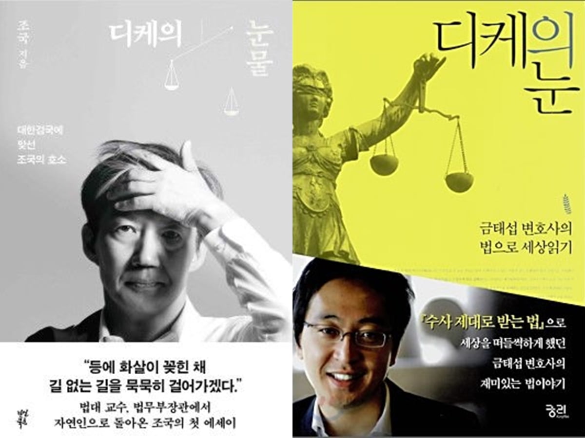 /사진='디케의 눈물', '디케의 눈' 책 표지