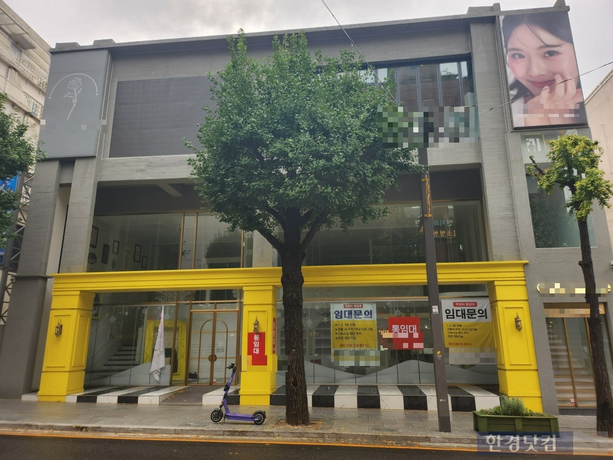 서울 강남구 신사동 가로수길에 위치한 한 건물 주인이 임차인을 구하고 있다. 사진=이현주 기자 