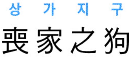 [신동열의 고사성어 읽기] 喪家之狗 (상가지구)