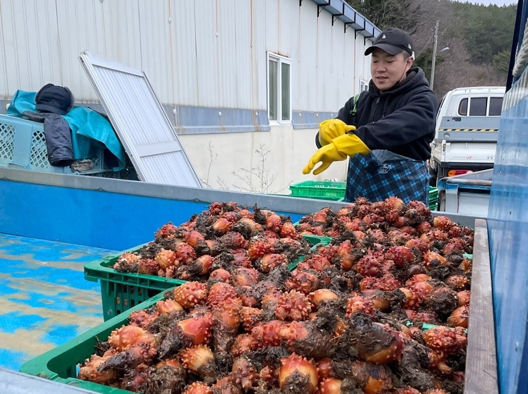 통영한끼상회 수산물 포장 모습.