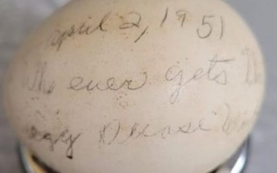20세 때 낙서한 계란, 돌고 돌아 72년 만에…기적 같은 재회