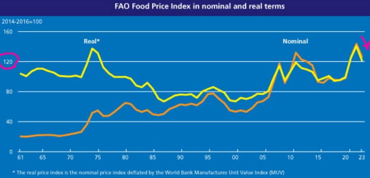 유엔 FAO의 세계식량가격지수는 7월 기준 123.9로, 전달(122.4) 대비 상승세로 돌아섰다. 식량가격지수는 팬데믹 직후 역대 최고치로 치솟았다 꾸준히 하락했으나 최근 다시 불안한 조짐을 보이고 있다. FAO 제공